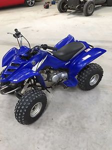 yamaha raptor 80