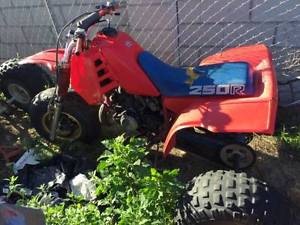 1985 Honda 250R ATC 1985 1986 1987 LOOK!