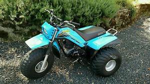 1984 yamaha 225DX ATC