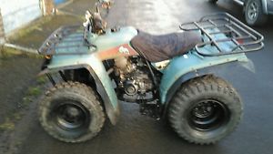 Yamaha timberwolf 250 quad