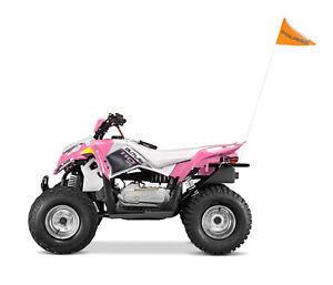 Polaris 2015 Outlaw 110 Quad Bike (Pink or Blue) with Free Helmet