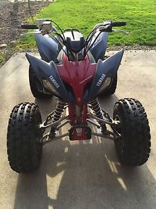 Yamaha Raptor 250