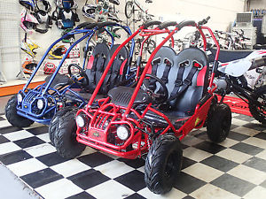 BILBY 160cc 4 STROKE BUGGY, GO KART, AUTOMATIC,ELECTRIC START, IMOBILISER