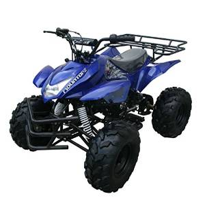Coolster 3125A New Blue 125CC Kids ATV with Reverse BLUE