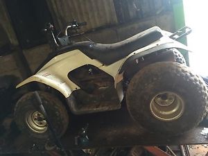 Yamaha breeze 125 not grizzly