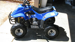 Panther youth 4 wheeler ATV 70 BC motor