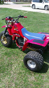 1984 Honda 250 R