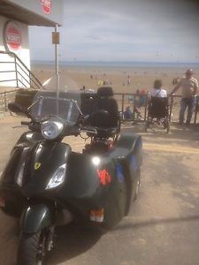 Trike 2010 NIPPI 125 SPORT GREEN