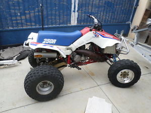 1986 Honda TRX250R Fourtrax