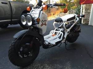 2012 Honda Ruckus Scooter Nice!