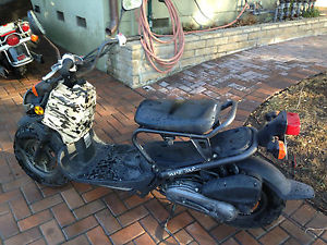 2006 Honda Ruckus