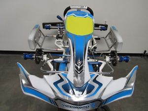 2016 Ricciardo Shifter Kart Chassis**Almost NEW**built by Birel ART**