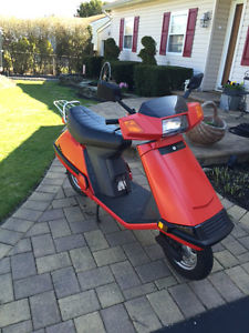 1988 Honda Elite 80 (excellent shape)