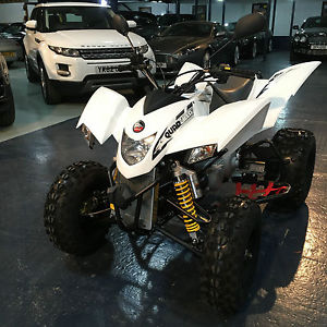 NEW ROAD LEGAL SPORTS QUADBIKE - QUADZILLA 320E SPORT - 2 YEARS WARRANTY