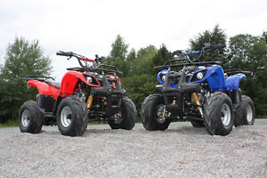 *BRAND NEW* 125cc 4 STROKE QUAD W/REVERSE-150kg LOAD, CHILD & ADULT, UK DELIVERY