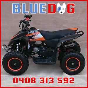 50cc Mini Quad Fully Auto Pull Start 2 Stroke Perfect For The Beginner