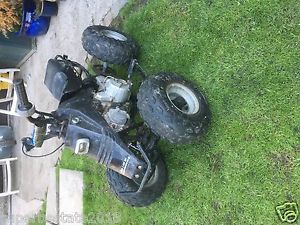 kazuma meerkat quad bike