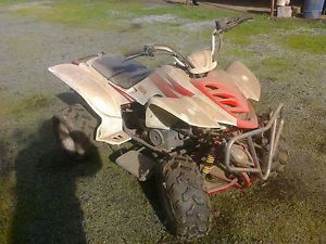 quad bike 150 cc