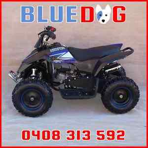 50cc Mini Quad Fully Auto Pull Start 2 Stroke Perfect For The Beginners