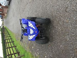 apache 100cc KIDS QUAD