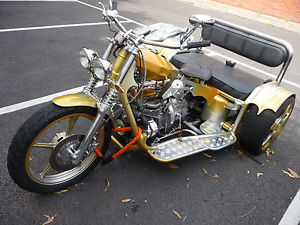 Custom Made Trike