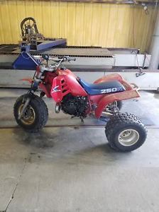 1985 Honda 250r