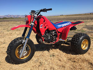 1985 Honda ATC250r Super Nice Low Hours Collectable ATC 250r 86 250 R Clean OEM