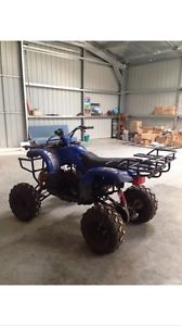 Quad bike atv 250