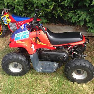 Dino 50cc petrol 2 stroke quad