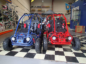 BILBY 160cc 4 STROKE BUGGY, GO KART, AUTOMATIC,ELECTRIC START not a quad or atv
