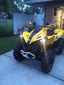 2015 can am renegade 500