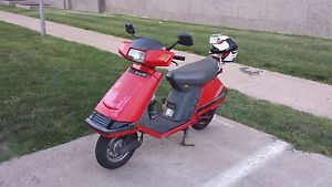 1987 Honda CH80 Elite-Incredibly fun!