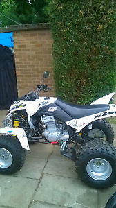 quadzilla 300 e xlc stinger sport