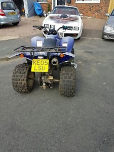 Quadzilla 250