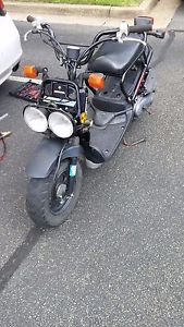 2004 Honda Ruckus moped scooter