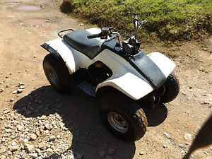 Yamaha Breeze Quad Bike