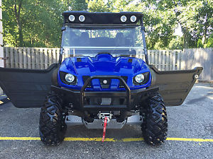 2007 Yamaha RHINO  SPECIAL EDITION