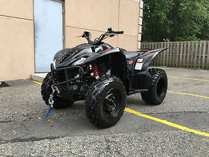 2007 Yamaha WOLVERINE SPECIAL EDITION