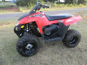 2010 polaris