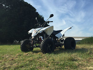 Quadzilla XLC 500 Road Legal Sports Quad 500cc White Nerf Bars Reverse Speedo