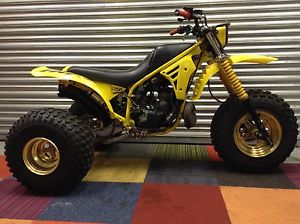 Yamaha tri-z 250
