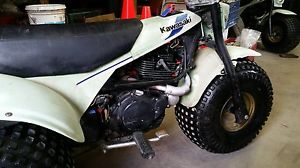 1984 Kawasaki