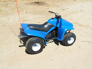 1987 Yamaha 4 Zinger