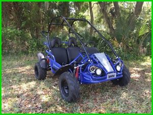 2016 Hammerhead Mudhead