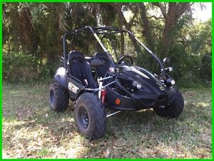 2016 Polaris GTS 150
