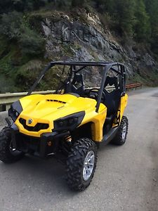 2014 can am co