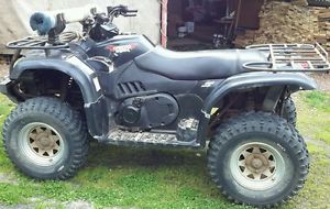 500cc 2 SEATER QUAD BIKE