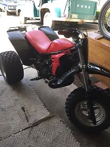 1986 Yamaha TRI-Z 250 big bore beauty