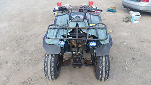 yamaha 250 quad
