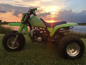 1985 Kawasaki 250